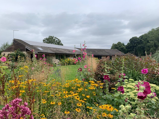 Image of the garden in Nottinghamshire with wildflower meadows that has been transformed with the help of the biodiversity grant from Avove and Severn Trent to support local wildlife.
