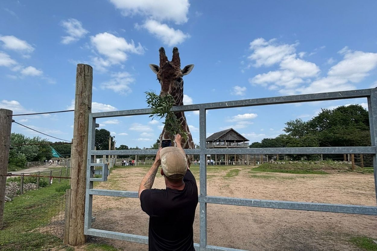 Avove Vegetation Management Team Branches Out to Support Wildlife